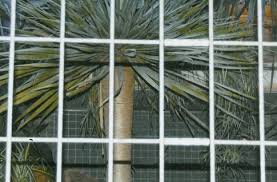 Image result for Eberhard Havekost