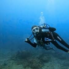 Image result for Duchy Divers