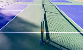 Image result for Motiv8 Pickleball Club