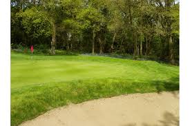 Image result for Chesham & Ley Hill Golf Club