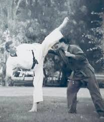 Image result for Kensei Karate Dojo