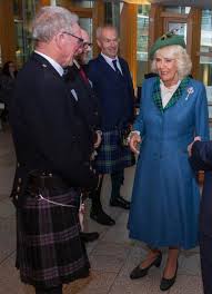 Image result for Wee County Harriers