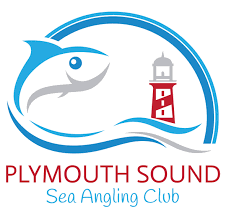 Image result for Plymouth Sound