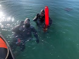 Image result for Mole Valley Sub Aqua Club