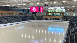 Image result for Bracknell Ice Skating Club