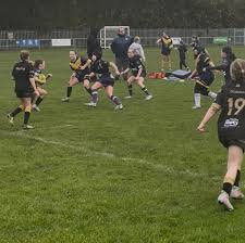 Image result for West Haughton Lions Rugby League Football Club