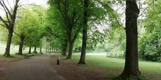 Image result for Ashcombe Bowls Club