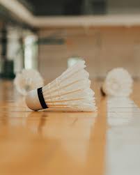 Image result for Felbridge Badminton Club