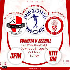 Image result for Redhill Fc (Social) Club