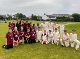 Image result for Narberth Cricket Club