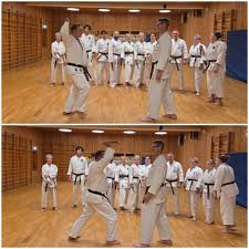 Image result for Su-Ha-Ri-Wado Karate School
