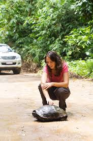 Attēlu rezultāti vaicājumam “Tortula lingulata macro”