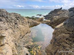 Image result for Swimming Skills Cornwall | St Ives