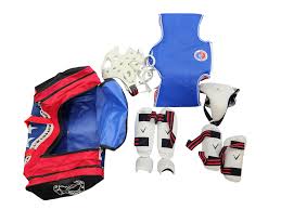 Image result for Vision Martial Arts