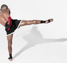 Image result for GFC Muay Thai Boxing