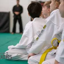 Image result for Redhill Karate Association