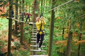 Image result for Go Ape! Grizedale