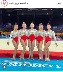 Image result for Hemsworth Odyssey Gymnastics Squad