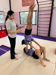 Image result for Phoenix Acro Gymnastics Club
