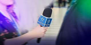 Image result for Amelia Andersdotter