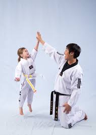 Image result for Bytomic Tae Kwon Do Windsor