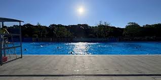Image result for South London Swimming Club