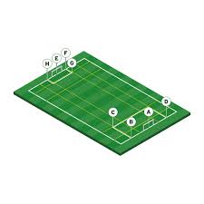 Image result for Pitch marking blog