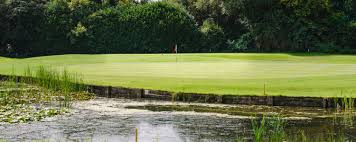 Image result for Avro Golf Club