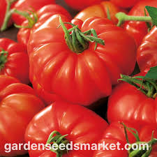 Afbeeldingsresultaat voor marmande jaune tomato