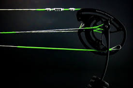 Image result for Green Hollow Bowmen