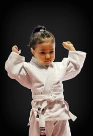 Image result for Sneyd Judo Club