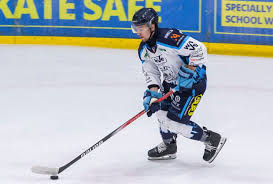 Image result for Basingstoke Bison Ice Hockey Club