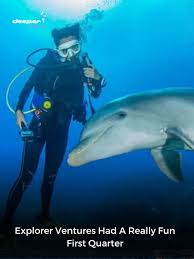 Image result for Durley Dolphin Diver