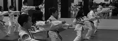 Image result for Taekwondo Witney