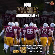 Image result for Wyvern Dragons Junior Badminton Club