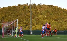 Image result for Dorking Wanderers F C