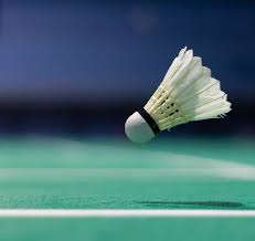 Image result for Bodmin Badminton Club