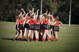 Image result for Aquinas Football Club