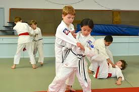Image result for Wokingham Judo Club