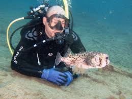 Image result for Woking Junior Snorkelling Club