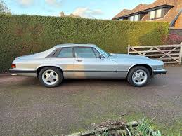 Image result for Platinum 1979 Jaguar