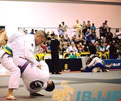 Image result for Devines Martial Arts