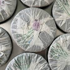 Image result for 2007早春