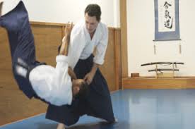 Image result for Fudokai Aikido Dojo