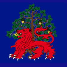 Image result for Andover Cricket Club