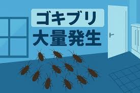 Image result for ゴキブリ報告所