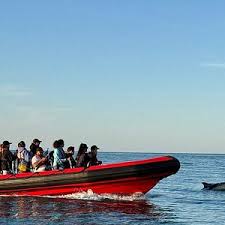 Image result for Exe To Sea Diving