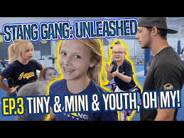 Image result for Cheervision Yorkshire