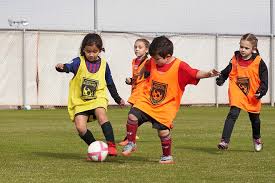 Image result for Phoenix Youth Sc