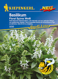 Image result for Basilikum